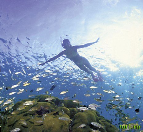 Андаманские острова