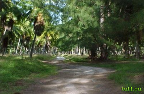 Остров Дерош