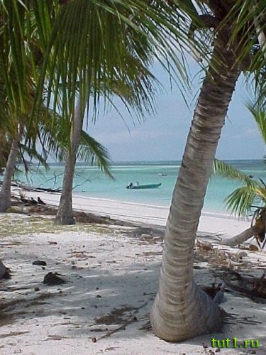 Атолл Альдабра