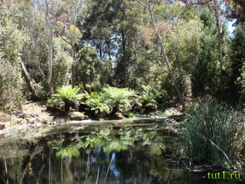 Ботанический сад Канберры