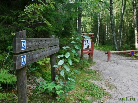Национальный парк-заповедник Нууксио в Эспоо, Финляндия