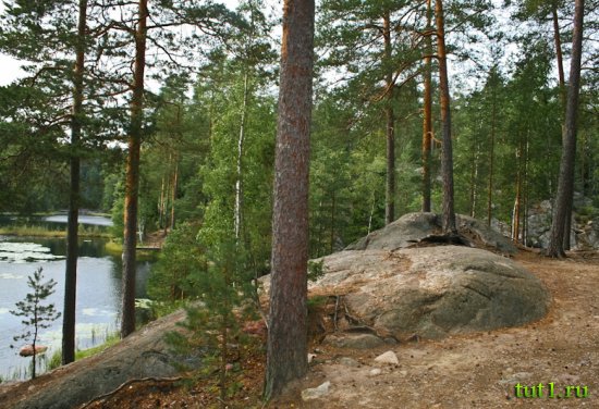 Национальный парк-заповедник Нууксио в Эспоо, Финляндия