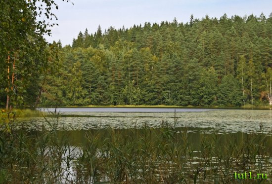 Национальный парк-заповедник Нууксио в Эспоо, Финляндия