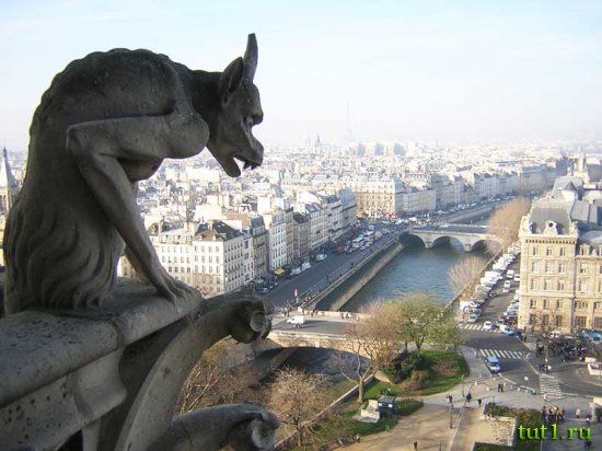 Собор Парижской богоматери (Notre Dame de Paris) - Париж, Франция