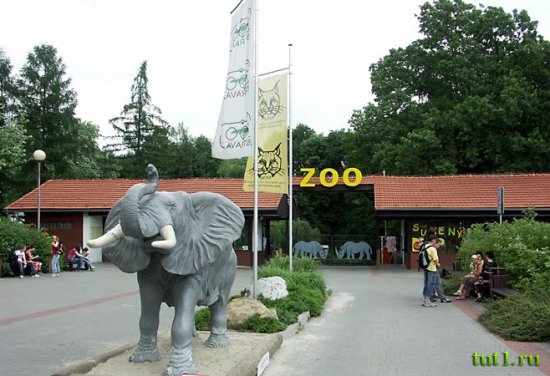 Остравский зоопарк