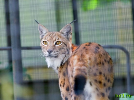 Остравский зоопарк