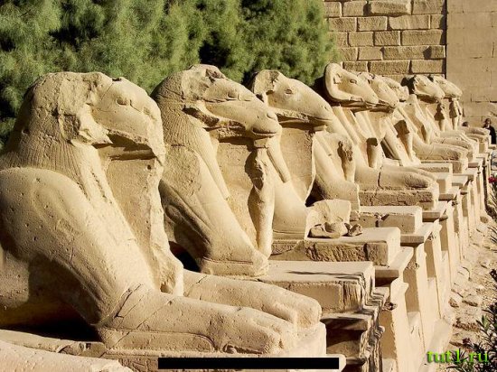 Луксор - Египет