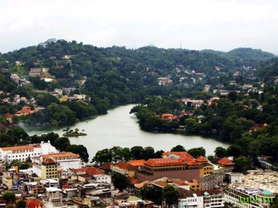 Канди - заповедный лес Удаваттакелле