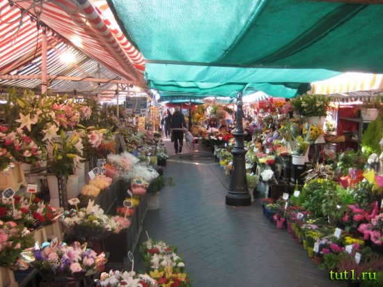 Ницца - цветочный рынок
