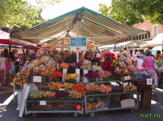 Ницца - цветочный рынок