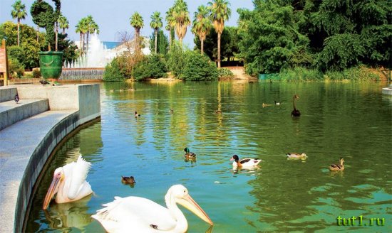 Ницца - парк Феникс