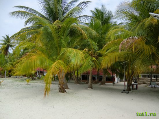 Лаккадивские острова