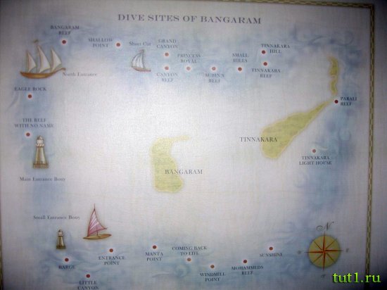 Лаккадивские острова
