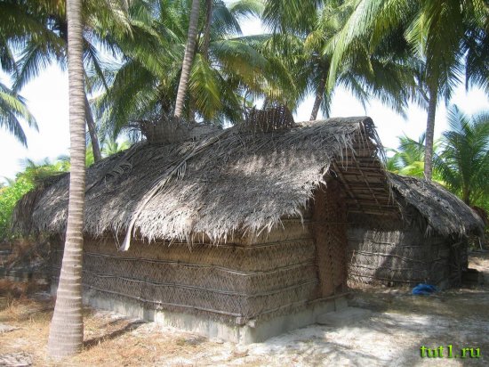 Лаккадивские острова