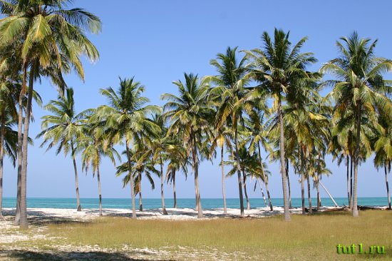 Лаккадивы - остров Агатти