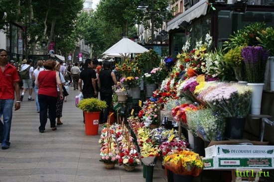 Барселона - Рамбла Цветов