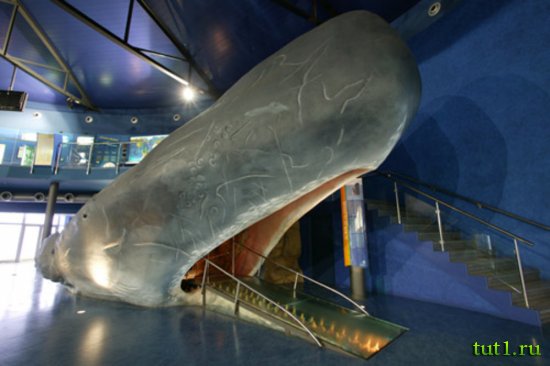 Аквариум Басрелоны