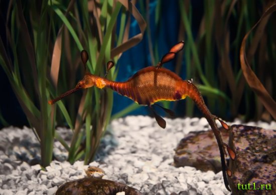 Аквариум Басрелоны