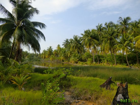 Остров Бангарам