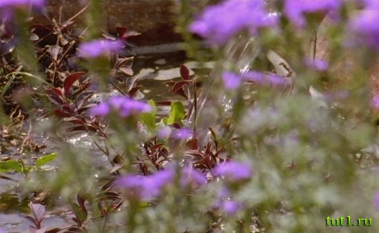 Тадж-Махал - Индия