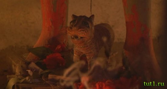 Племена Сундарбана - Индия