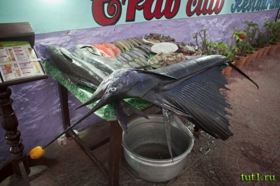 Керала - Индия