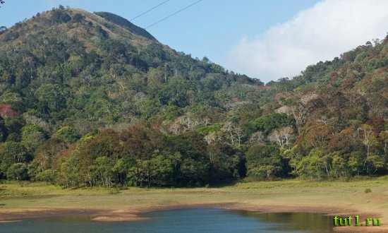 Керала - заповедник Перияр