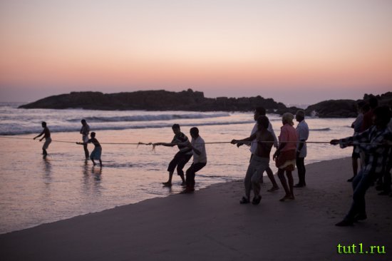 Штат Керала - дары моря