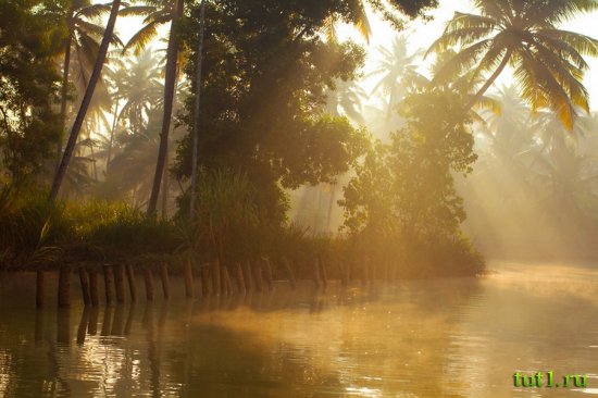 Штат Керала - каналы