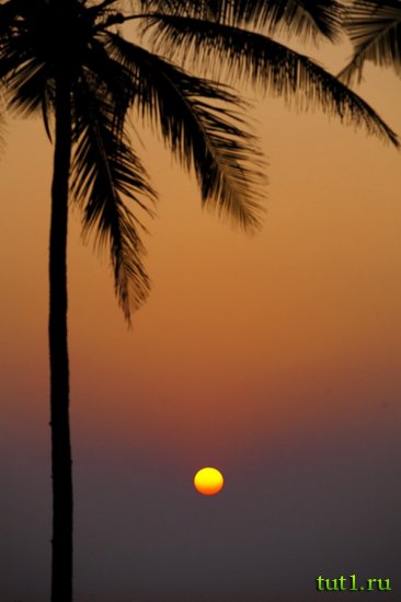 Штат Керала - каналы