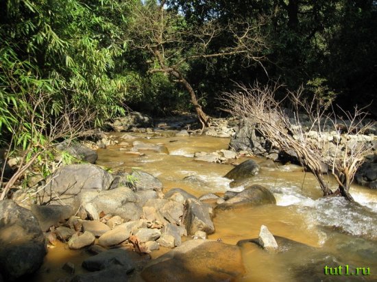 Заповедник Бхагван Махавир - Индия