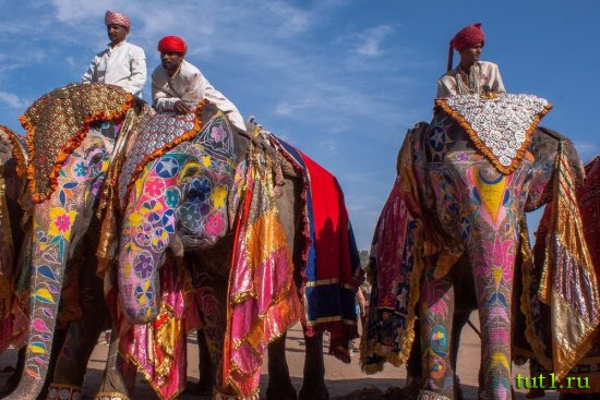 Национальные праздники Индии