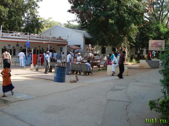 Проживание в Индии