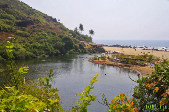 Арамболь - пресноводное озеро Sweet Lake