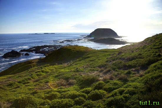 Остров Филлипа