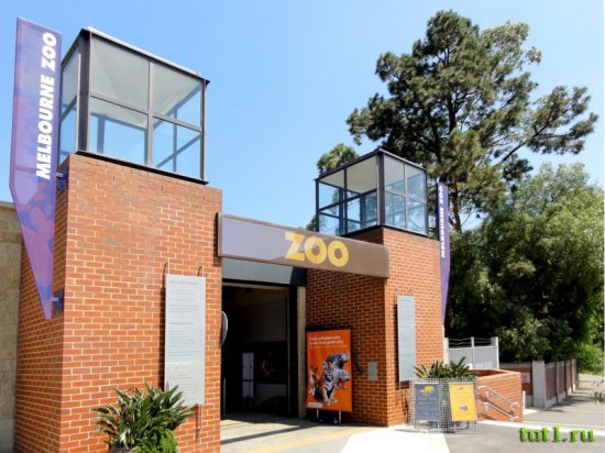 Зоопарк Мельбурна