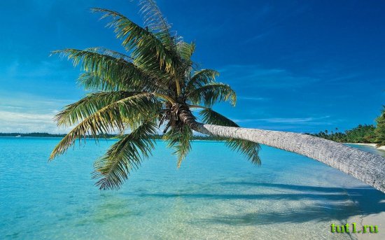 Мальдивские острова