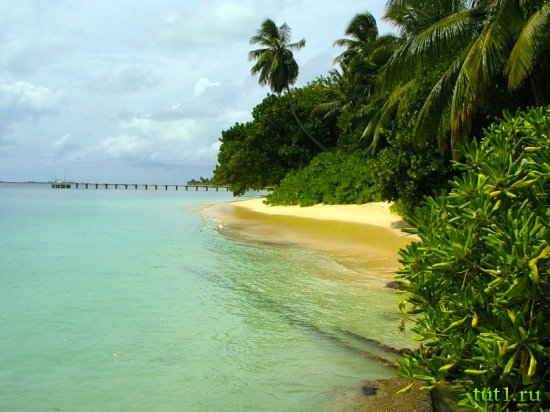 Мальдивские острова