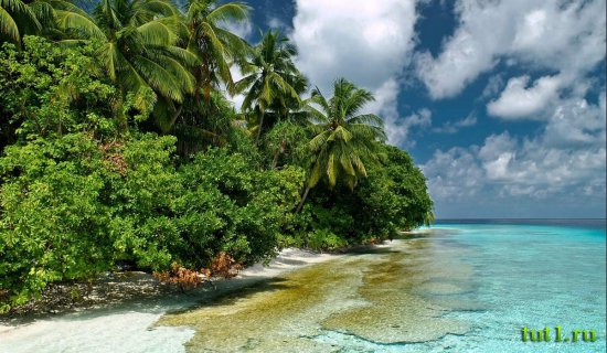 Мальдивские острова
