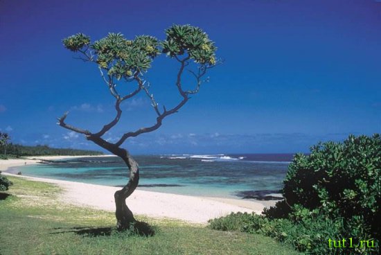 Природа Маврикия