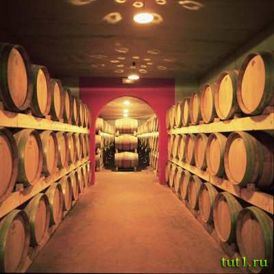 Майорка - винный завод Масия Батле (Macia Batle)