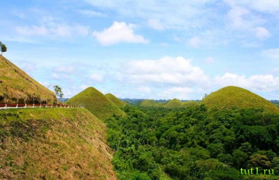 Остров Бохол - Шоколадные холмы
