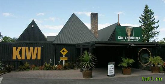 Kiwi Encounter - Новая Зеландия