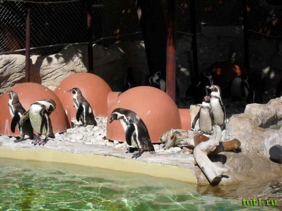 Парк развлечений Marineland - Майорка