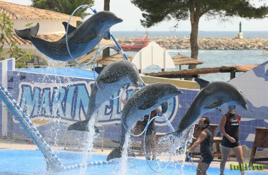 Парк развлечений Marineland — остров Майорка