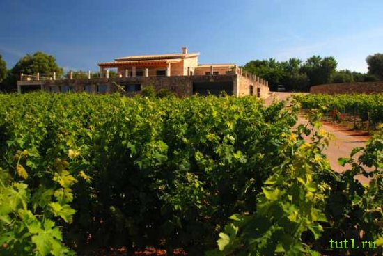 Майорка - Масия Батле (Macia Batle)