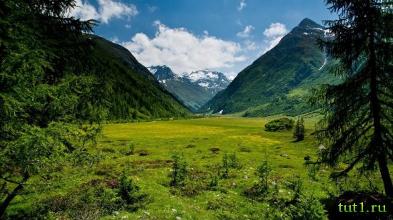 Заповедник Высокий Тауэрн в Австрии