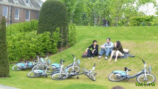 Гайд-парк - велопрокат