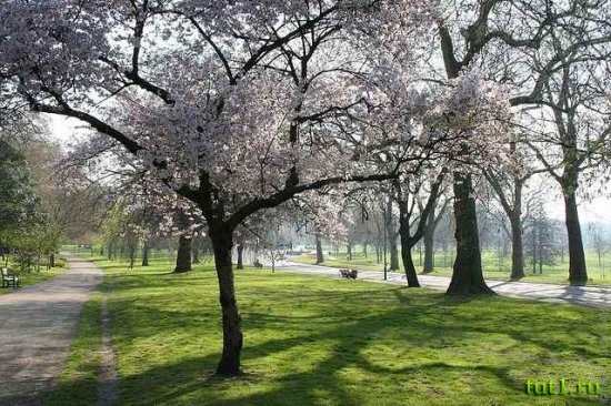 Англия - Гайд-парк (Hyde Park)