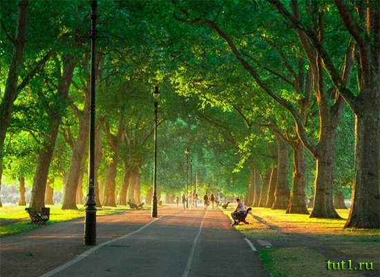 Гайд-парк (Hyde Park) - Лондон